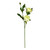 Vickerman FV190752 - 16 in. Lime Peony Artificial Spray - 6 Pack