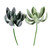 Vickerman FV192508 - 8 in. Green Echeveria Artificial Spray - 4 Pack