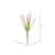 Vickerman FV193311 - 11 in. Green Mix Haworthia Assorted Artificial Spray - 6 Pack
