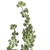 Vickerman FV193422 - 22 in. Green Mixed Senecio Assorted Artificial Spray - 6 Pack