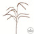 Vickerman FV195429 - 29 in. Brown Willow Artificial Spray - 4 Pack