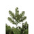 Vickerman G125181LED - 9.5 ft Grand Teton Prelit Warm White LED Christmas Tree