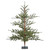 Vickerman G152250 5' x 54" Bed Rock Pine Tree 554Tips