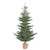 Vickerman G160240 - 4 ft Alberta Spruce Unlit Christmas Tree