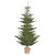 Vickerman G160241LED 4ft Alberta Spruce Christmas Tree with Lights