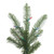 Vickerman G160260 - 6 ft Alberta Spruce Unlit Christmas Tree