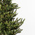 Vickerman G160261LED - 6 ft Alberta Spruce Prelit Warm White LED Christmas Tree