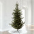 Vickerman G160281LED - 9 ft Alberta Spruce Prelit Warm White LED Christmas Tree