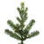 Vickerman G170176LED - 7.5 ft Eagle Frasier Fir Prelit Warm White LED Christmas Tree
