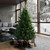  Vickerman G170365 6.5' x 49" Eagle Fraser Fir Full 2133T 