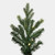 Vickerman G183281LED 8.5' x 64" Welch Fraser Dura-Lit 1200WW