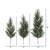 Vickerman G188228 24-30-36" White Pine Tops 3Pc Set