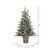 Vickerman G200541LED - 4 ft Gooding Potted Prelit Warm White w/Twinkle LED Christmas Tree