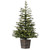 Vickerman G201641LED 4'x31" Gibson Slim Potted  LED 200WW