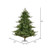 Vickerman G204265 6.5' x 63" Sherwood Fir Tree 2216Tips