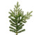 Vickerman G204266LED - 6.5 ft Sherwood Fir Prelit Warm White LED Christmas Tree