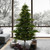 Vickerman G204276LED 7.5' x 67" Sherwood Fir Dura-Lit 800WW