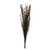  Vickerman H1BFL750 36-40" Bell Grass Autumn Pod 8oz Bundle 