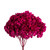  Vickerman H1HYD425 15" Raspberry Hydrangea Stem 