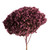  Vickerman H1HYD580 15" Purple Orchid Hydrangea Stem 