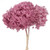 Vickerman H1HYD850 15" Brombeer Hydrangea Stem 