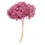 Vickerman H1HYD850 15" Brombeer Hydrangea Stem 