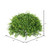 Vickerman FF170601 11"  Mixed Greenery Half Ball 
