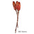 Vickerman H1REP475 8-12" Nat Red Repens on Nat Stem 180/Cs 