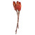 Vickerman H1REP475 8-12" Nat Red Repens on Nat Stem 180/Cs 
