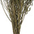 Vickerman H1STB115 14-18" Spring Green Stoebe 5oz Bundle 
