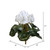 Vickerman FL170711 11" White Cyclamen Bush 