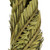 Vickerman H2CTW100 40-48" Twisted Basil Coco Palm 6/pk 