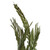 Vickerman H2CTW150 40-48" Twisted Foliage Green Coco Palms 