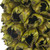 Vickerman H2GSW000 50 - 60" Natural Giant Seed Pod - Whole 