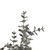 Vickerman FM226929 - 26.5 in. Dark Green Eucalyptus Artificial Spray - 2 Pack