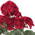 Vickerman FQ172901 19.5" Geranium Bush-Red 