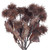  Vickerman FXT221717 - 15" Artificial Mocha Earth Flower Bundle - 2 Pack 