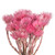  Vickerman H1EVR400 13-14" Lt Pink EverlastingFlowers 1.75oz 