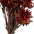 Vickerman H1PMF475 8-20" Red Plumosum Bundle 8 Heads 