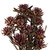 Vickerman H1PMF580 8-20" Purple Orchid Plumosum Bundle 8 Hd 