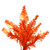 Vickerman K162331LED - 3 ft Orange Fir Prelit Orange LED Christmas Tree