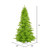 Vickerman K162686LED 10ft Lime Fir Christmas Tree with Lights