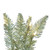 Vickerman K166415LED - 9 ft Champagne Tinsel Fir Christmas Garland - Warm White LED