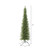  Vickerman K167355 5.5' x 25" Bixley Pencil Fir Unlit 1151T 
