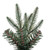  Vickerman K167355 5.5' x 25" Bixley Pencil Fir Unlit 1151T 