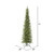 Vickerman K167366LED - 6.5 ft Bixley Fir Prelit WARM WHITE LED Christmas Tree
