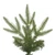 Vickerman K167386LED - 10 ft Bixley Fir Prelit WARM WHITE LED Christmas Tree