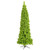 Vickerman K168575 - 7.5 ft Flocked Lime Fir Unlit Christmas Tree