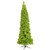 Vickerman K168576LED 7.5ft Flocked Pencil Lime Fir Christmas Tree with Lights