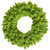 Vickerman K168636 - 36" Flocked Lime Fir Wreath